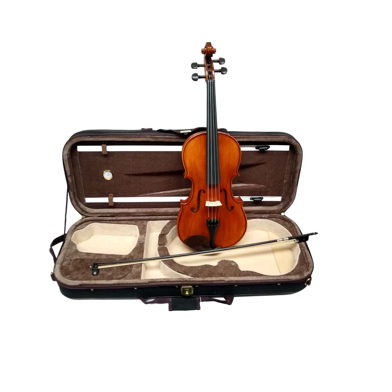 Frankfurt Viola