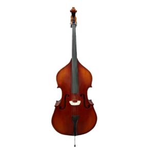 Hamburg 3/4 Upright Bass 5 String
