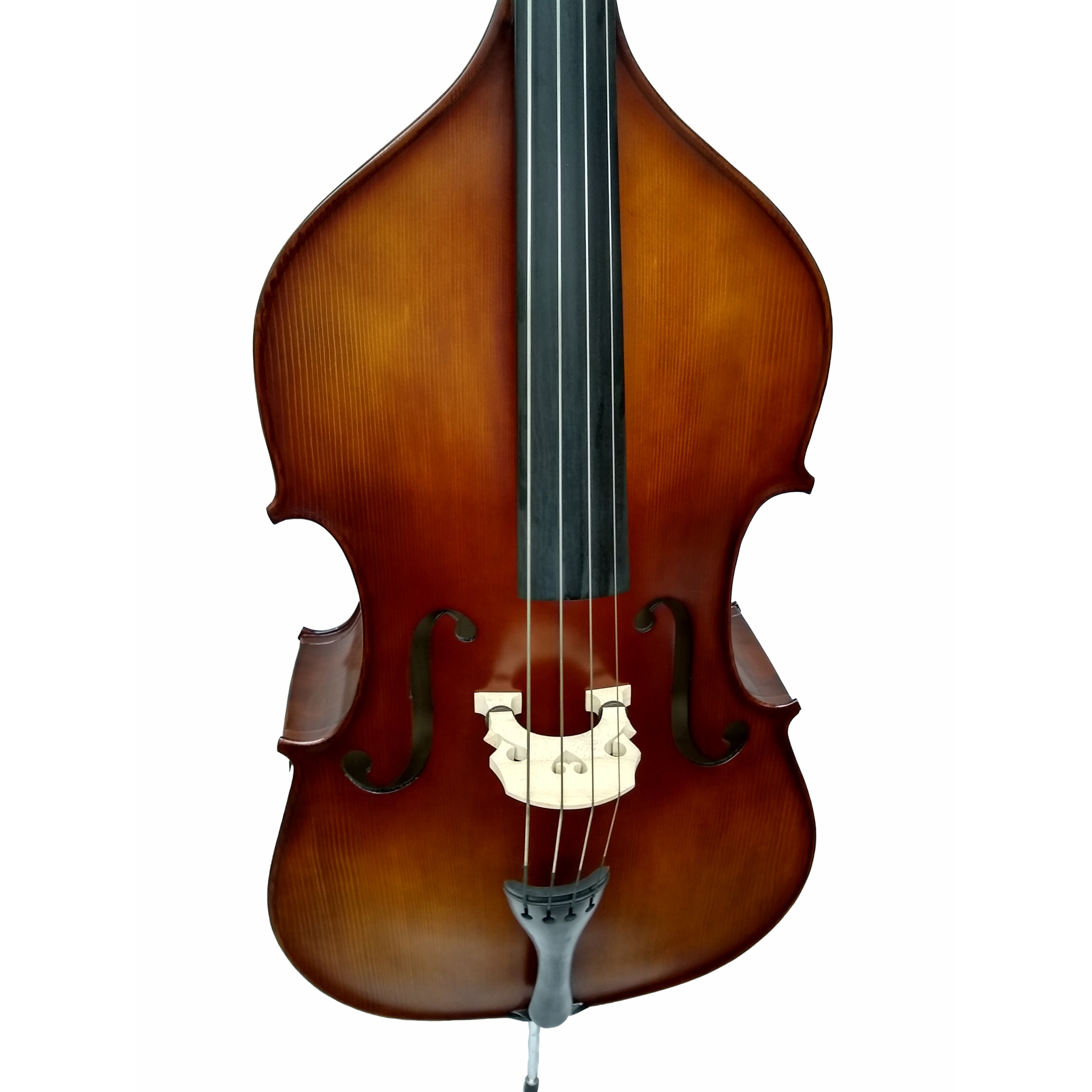 Hamburg Bass