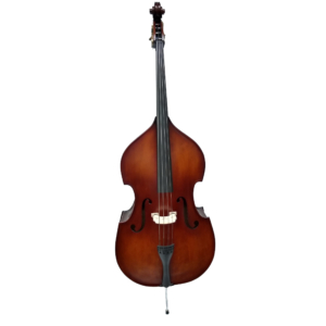 Hamburg Upright Bass Gamba
